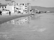 DSC_9691
