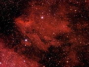 nebulosa-pellicano