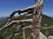 PARCO NATURALE DEL POLLINO (2)