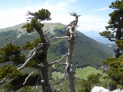 PARCO NATURALE DEL POLLINO