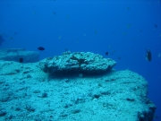 SOTTO IL MARE (5)