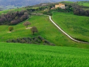 campagna toscana_02