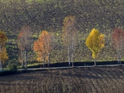 campagna toscana_03