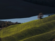 campagna toscana_04