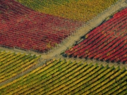 campagna toscana_05