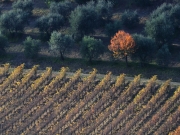 campagna toscana_06