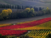 campagna toscana_08